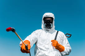 Best Termite Inspection and Treatment  in Mangum, OK